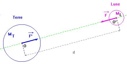 schma interaction gravitationnelle