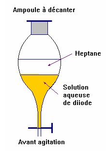 ampoule  dcanter