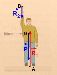 bilan des forces