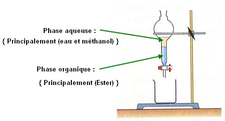 Ampoule_decanter