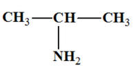 Propan-2-amine