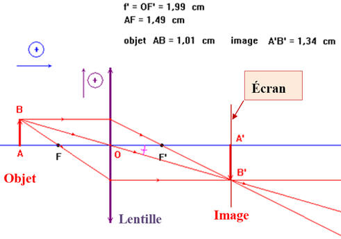 image relle