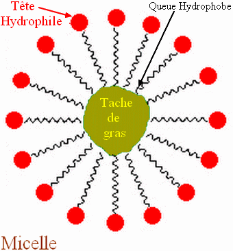 micelles