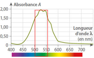 courbe absorbance permanganate de potassium