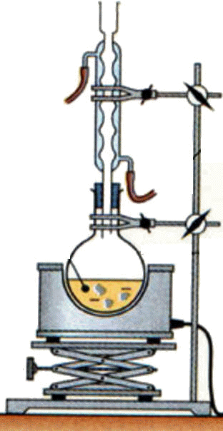réponse A