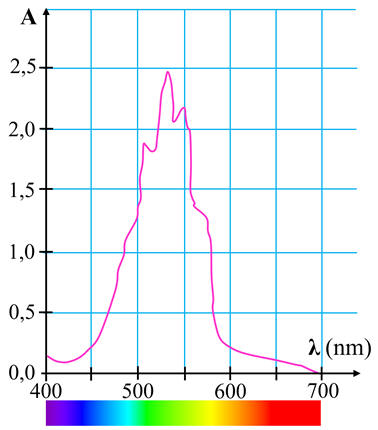 spectre absorption permanganate de potassium