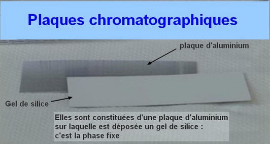 papier chromatographique