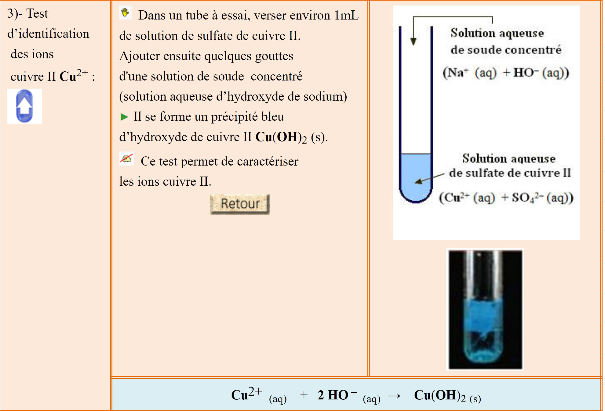 tests identification ions