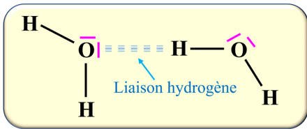 liaison hydrogène