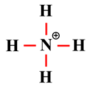 ion ammonium