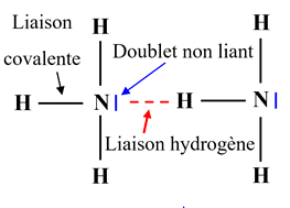 liaison hydrogne