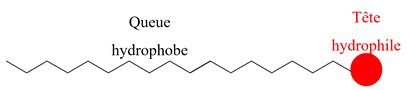 ion carboxylate