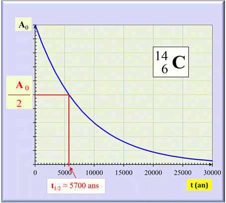  Courbe de dcroissance : A = f (t) du carbone 14