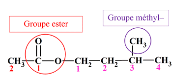 thanoate de  3mthylbutyle