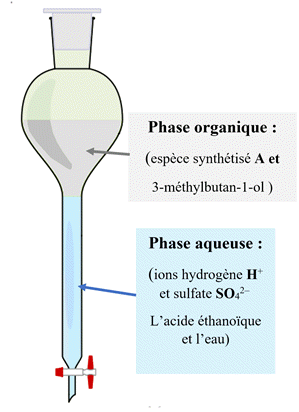 ampoule  dcanter