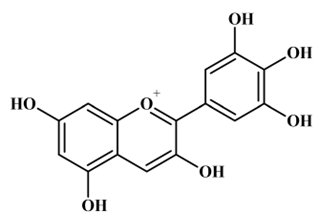 Formule topologique de la delphinidine