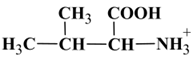 Valine : cation