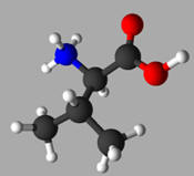 Valine : cation 3D