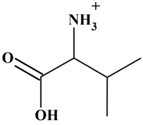 Cation valine
