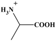 cation alanine