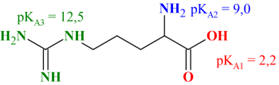 Arginine