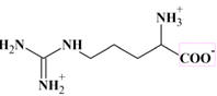 Arginine