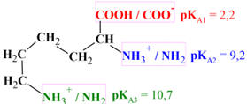 lysine