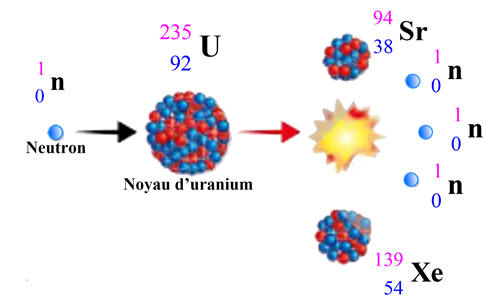 fission de l'uranium 235