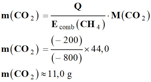 m (CO2) = 11,0 g