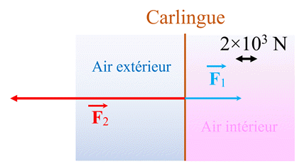 schma et valeurs