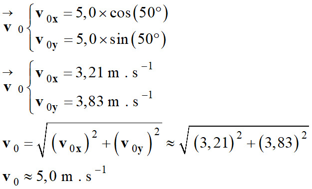 v0 = 5,0 m / s