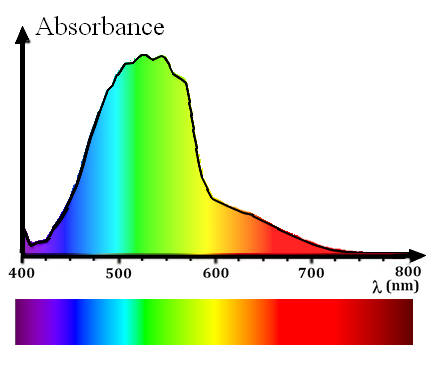 courbe absorbance