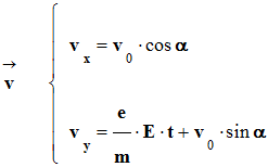 vecteur v