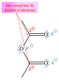 dipeptide