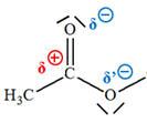 groupe anhydride