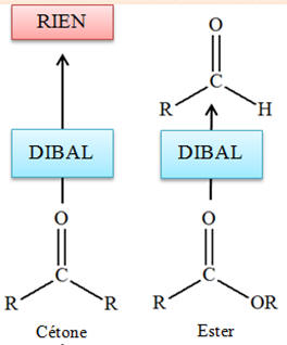 dibal