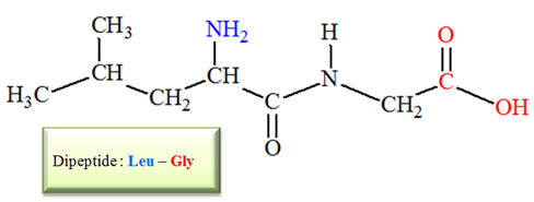 leu-gly