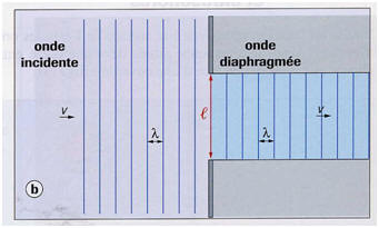 onde diaphragme