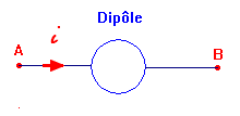 diple