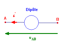 diple