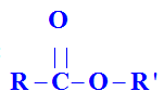 fonction ester