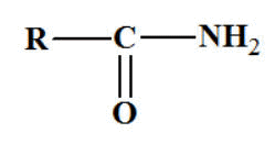 amide1