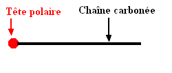 ion carboxylate