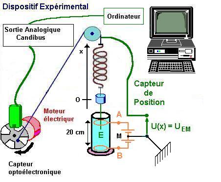 exprience